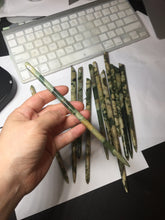 Load image into Gallery viewer, 100% Natural Mottled Green, Olive, and Creamy Yellow Camouflage Color Xiu Jade (Serpentine) Hairpin Group AW60
