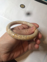 Load image into Gallery viewer, 55.6mm 100% natural beige yellow pink round cut Coral Jade (珊瑚玉) bangle SY59