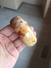Load image into Gallery viewer, 55.2mm 100% natural orange red yellow Fossil Coral Jade (珊瑚玉) bangle SY128

