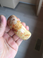 Load image into Gallery viewer, 55.2mm 100% natural orange red yellow Fossil Coral Jade (珊瑚玉) bangle SY128
