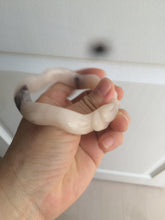 Load image into Gallery viewer, 56mm 100% natural light Pink/black Quartzite (Shetaicui jade) 3D carved Bow knot and wave bangle XY66
