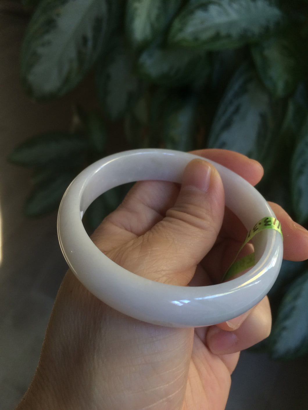 55.7mm certified Type A 100% Natural white/yellow Jadeite Jade bangle E57-7572